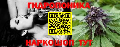 гидра Свободный