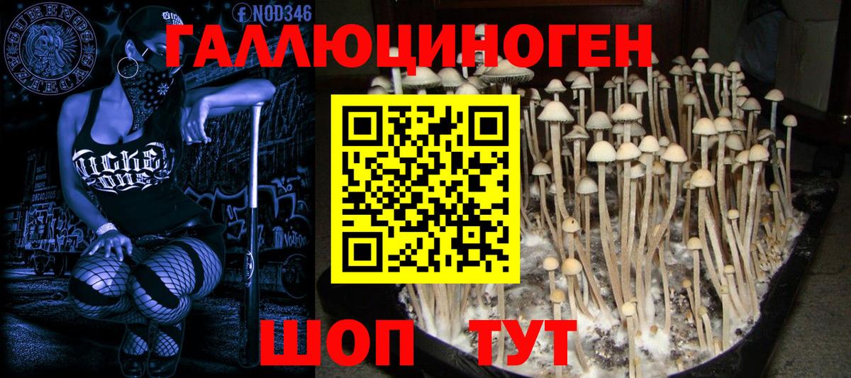 Галлюциногенные грибы прущие грибы Кулебаки