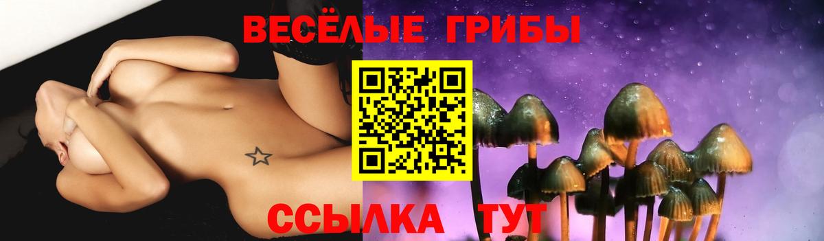 Галлюциногенные грибы мицелий  Вход с VPN  Кулебаки 